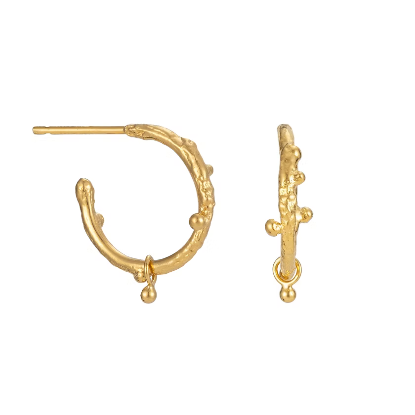 Bud Hoops