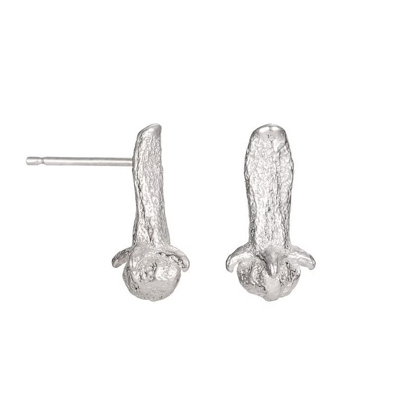 Long Clove Studs