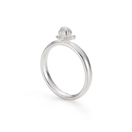 Clove Ring - Silver