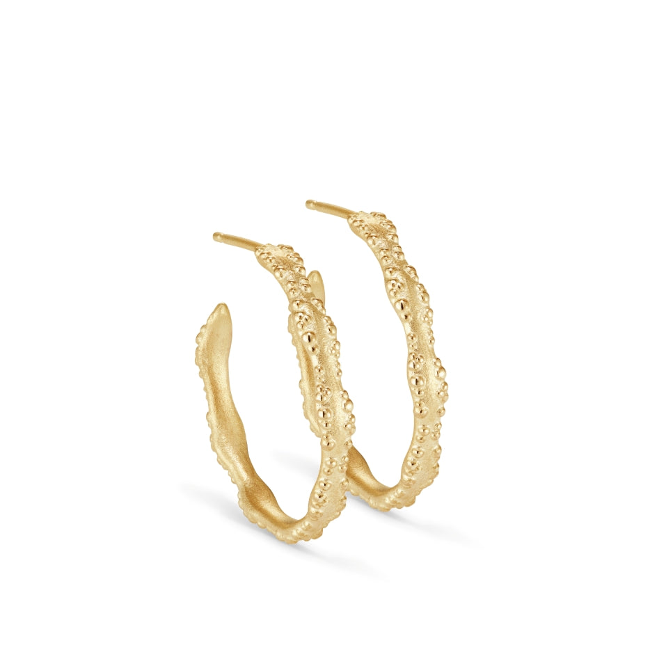 Scalloped Edge Hoops
