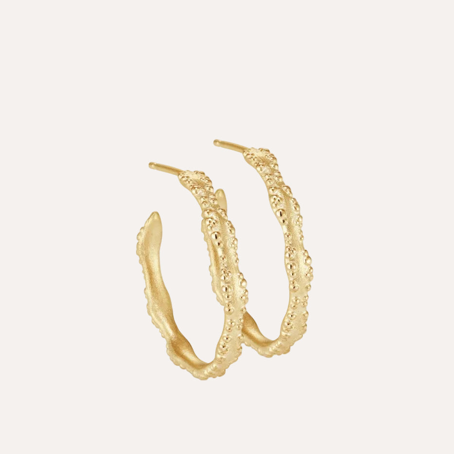 Scalloped Edge Hoops