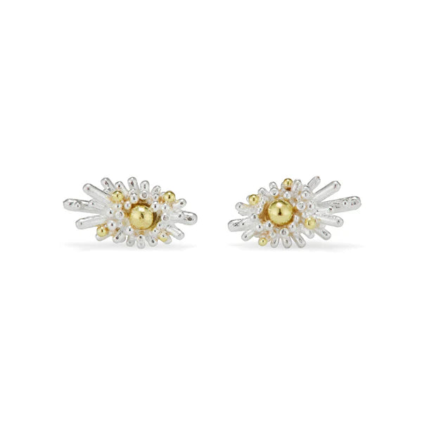 sea urchin stud earrings