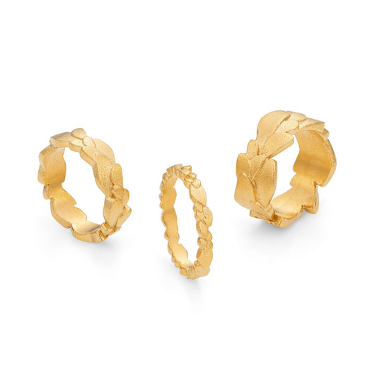 Gold Kimana Wing Rings