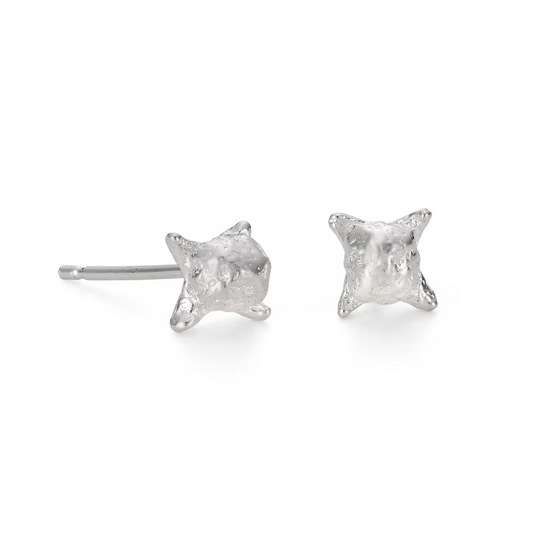 Clove Studs Silver