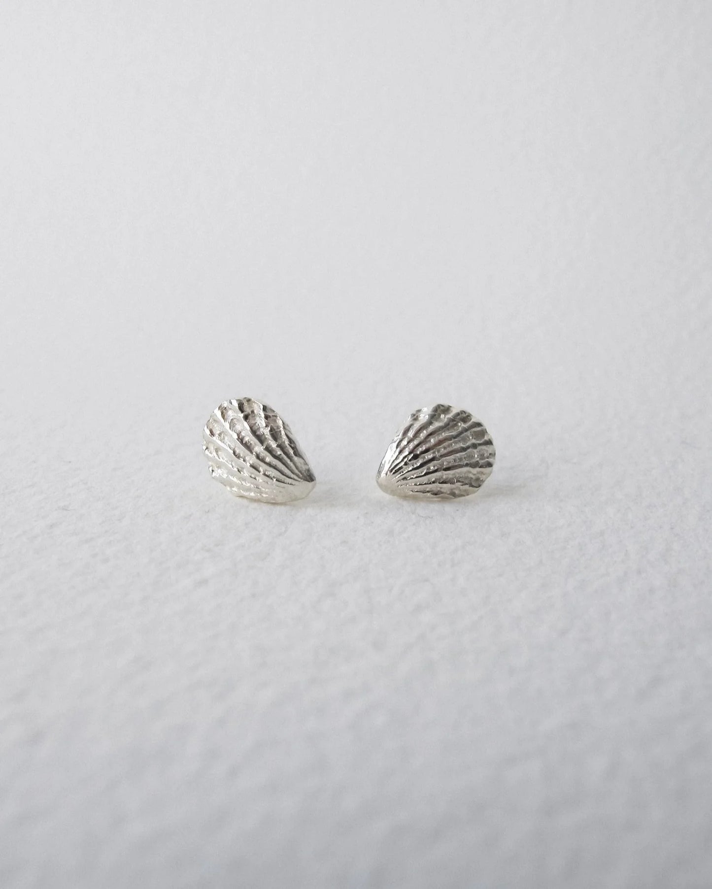 Sea Shell Studs