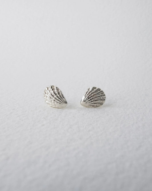 Sea Shell Studs