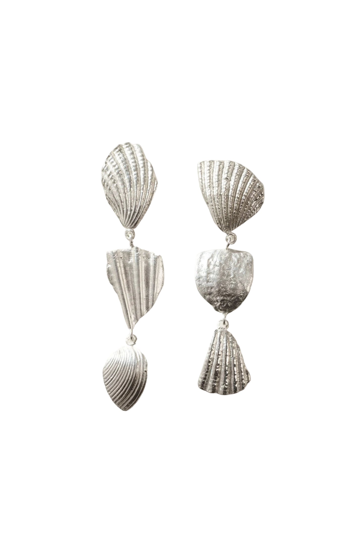 Seashell Fragment Earrings