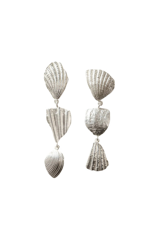 Seashell Fragment Earrings
