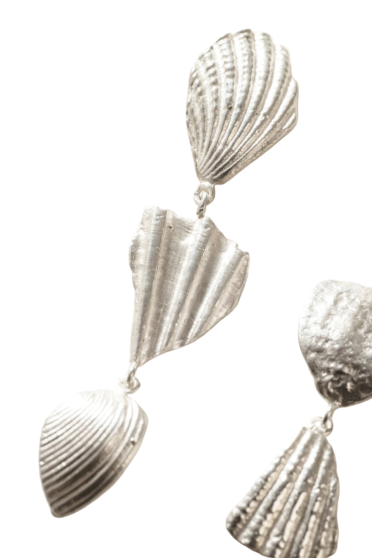 Seashell Fragment Earrings