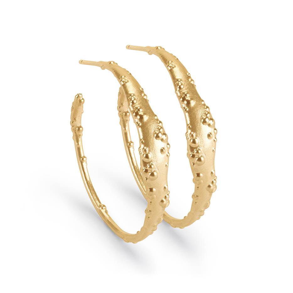 Orno Hoop Earrings Gold