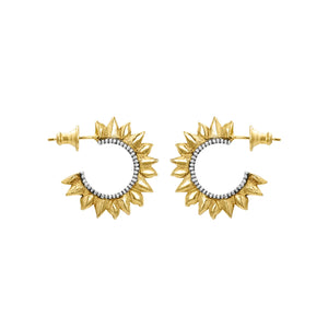Solar Flare Hoops