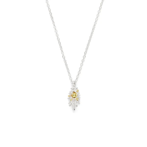 sea urchin necklace