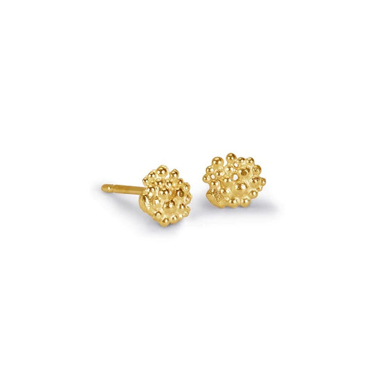 Tiny Gold Berry Studs