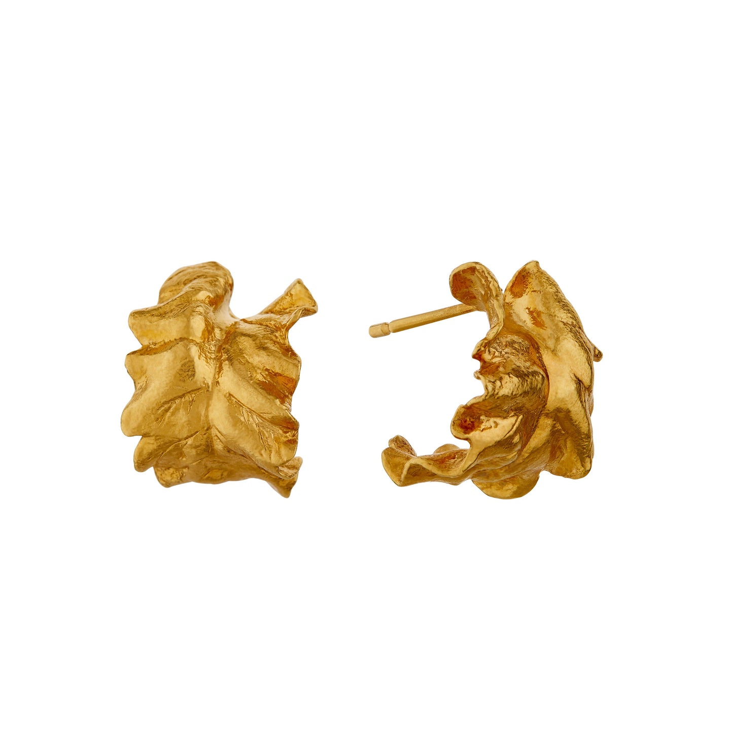 chard leaf hoop earrings gold
