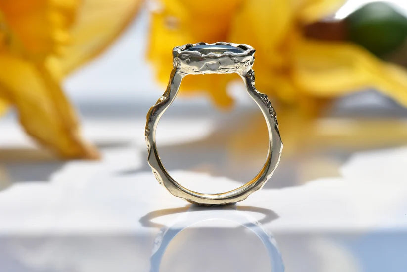 East west hawthorn ring montana sapphire