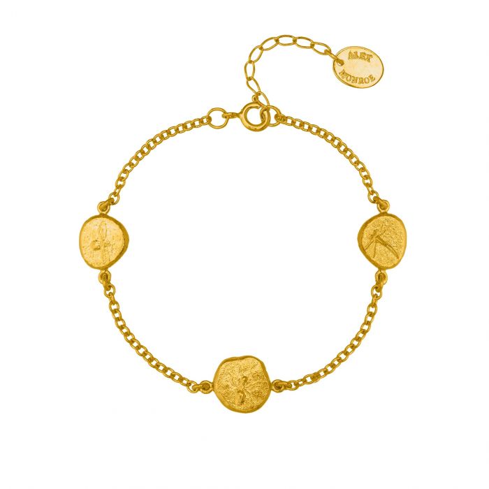 palaeontology bracelet gold
