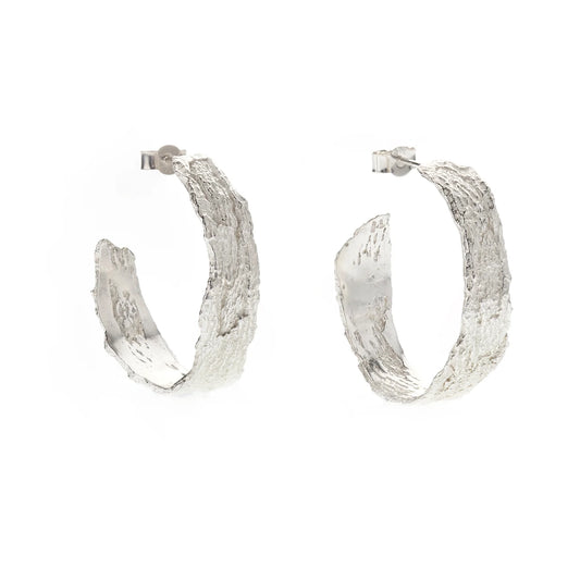 London Plane Hoops